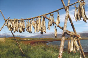 Pescado seco Islandia comida